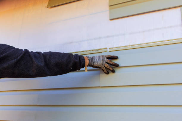 Best Vinyl Siding Installation  in Fairmead, CA